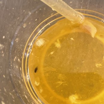 El Castillito - bug in my OJ after drinking the whole this this is what i find. - Mexican Near Me - San Francisco, California