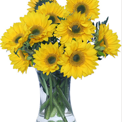Select Blooms Floral Boutique