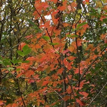 Rice Creek North Regional Trail - Parks Near Me