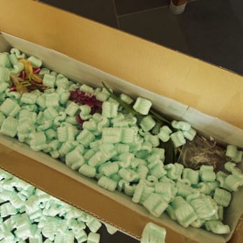 Norman's Orchid Nursery - 2/5: Opening the package. Fully packed with mailing peanuts. - Nurseries & Gardening Near Me - Montclair, California Norman's Orchid Nursery - 2/5: Opening the package. Fully packed with mailing peanuts. - Nurseries & Gardening Near Me - Montclair, California