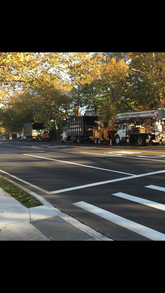 Greencare Tree Service - tree service in Queens, NY