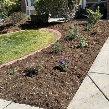 Natural Landscaping and Design - Removed old bushes and added new - Landscape Architects or Designers Near Me - Aurora, Colorado Natural Landscaping and Design - Removed old bushes and added new - Landscape Architects or Designers Near Me - Aurora, Colorado