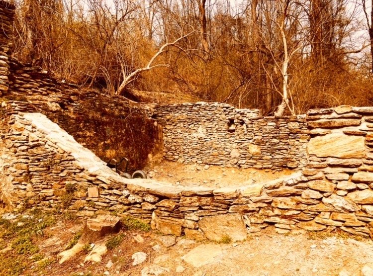 HARMONY HILL NATURE AREA Updated October 2024 36 Photos 1200