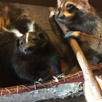 Woodland Sweets - three stuffed animals in a canoe - Ice Cream & Frozen Yogurt Near Me - Traverse City, Michigan Woodland Sweets - three stuffed animals in a canoe - Ice Cream & Frozen Yogurt Near Me - Traverse City, Michigan