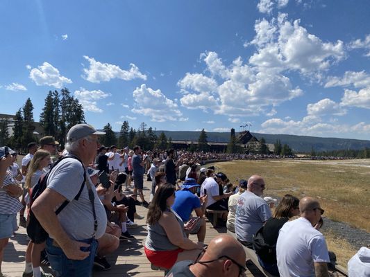 Old Faithful by null