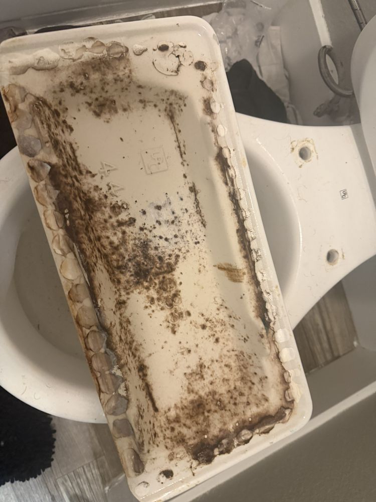 Modena Apartments - property management company in Phoenix, AZ