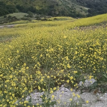 Whiting Ranch Wilderness Park - Dreaded Hill - Parks Near Me - Foothill Ranch, California Whiting Ranch Wilderness Park - Dreaded Hill - Parks Near Me - Foothill Ranch, California