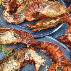 Hacienda Ortega's - Muy mal servicio, música horrible y no aceptan tarjeta sin avisar. Tuvimos que dejar de comer para ir a sacar dinero y pagar.