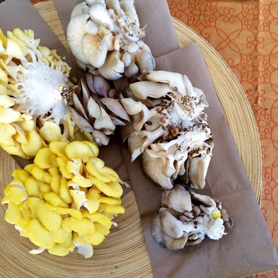 Echo Park Farmers' Market by null