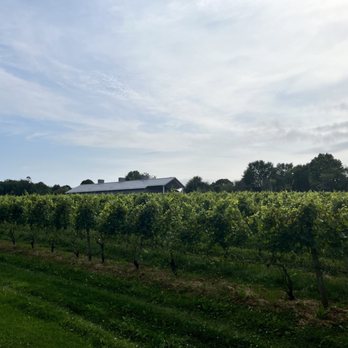 Greenvale Vineyards - Wineries Near Me - Portsmouth, Rhode Island