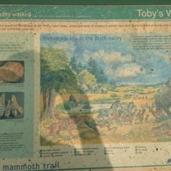 Tobys Walks - Tobys walks Suffolk near Blythburgh. The history can still be read on this board once inside the picnic area if you follow the trails round.