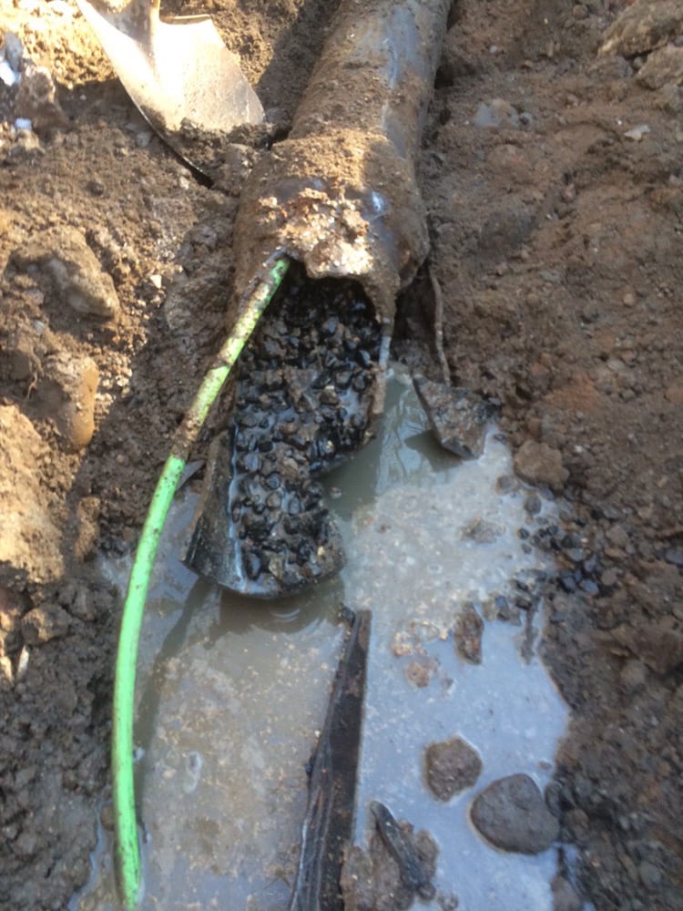 Slide of The Drain King