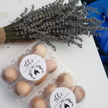 The Meadows of Isleton - Fresh lavender - Food Tours Near Me