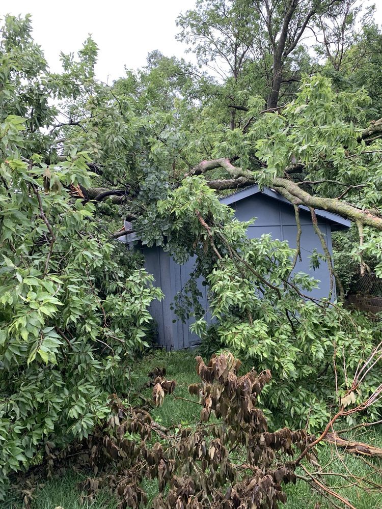 Brothers Tree Service - tree service in Omaha, NE