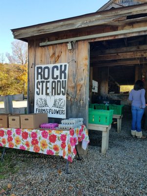 Rock Steady Farm by null