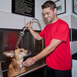 Camden Southline Apartments - Paw spa with pet grooming station