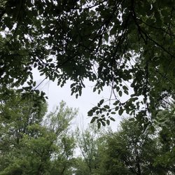 Happy Acres Kampground - Foliage frames a tranquil Wisconsin sky at the Happy Acres Kampground.