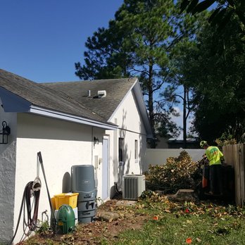 Briggs Tree Service - During the removal. - Tree Services Near Me - Davenport, Florida Briggs Tree Service - During the removal. - Tree Services Near Me - Davenport, Florida