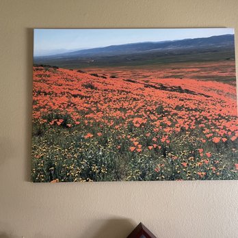 A 1 Photo & Video Lab - Photography Stores & Services Near Me - Concord, California