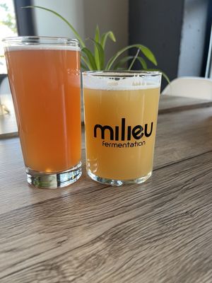 Milieu Fermentation by null