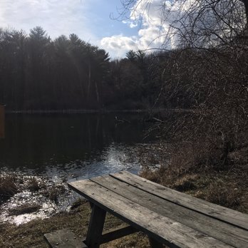Spencer Crest Nature Center - Willow tree picnic area in the early Spring - Hiking Near Me - Corning, New York Spencer Crest Nature Center - Willow tree picnic area in the early Spring - Hiking Near Me - Corning, New York