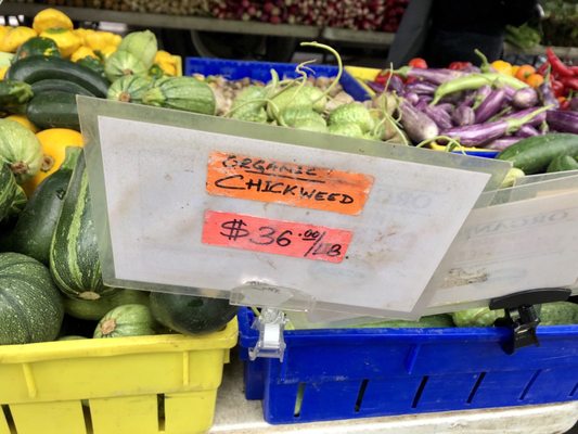 Tompkins Square Park Greenmarket by null
