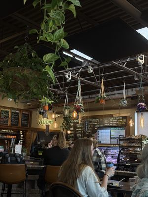 Blüm Coffee Garden by null