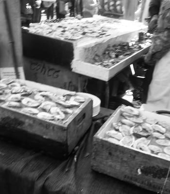 Wellfleet OysterFest by null