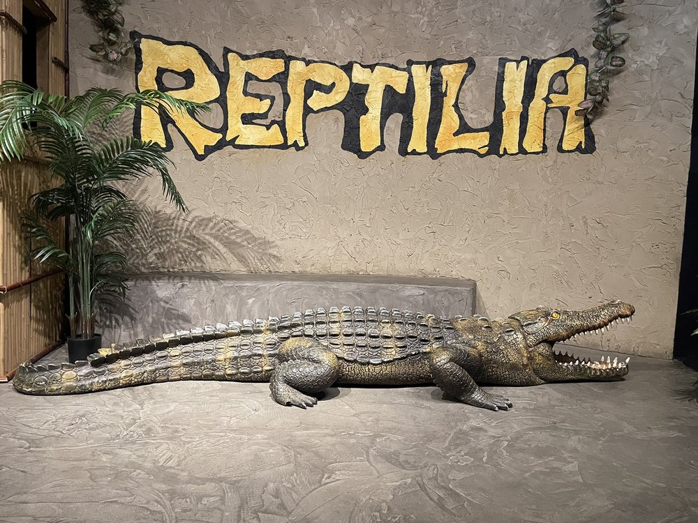 REPTILIA - Updated February 2026 - 275 Photos & 51 Reviews - 2501 ...