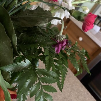 Love Blossoms Florist - Florists Near Me - Lexington, North Carolina