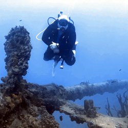 Bluewater Divers - Dive with best pros in the business