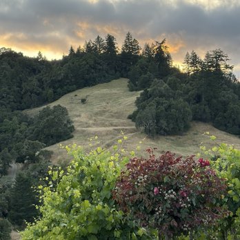 Cu Dona Winery - Sunset at the vineyard. - Wine Tasting Room Near Me - Cloverdale, California
