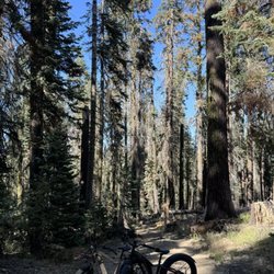 Bridalveil Creek Campground