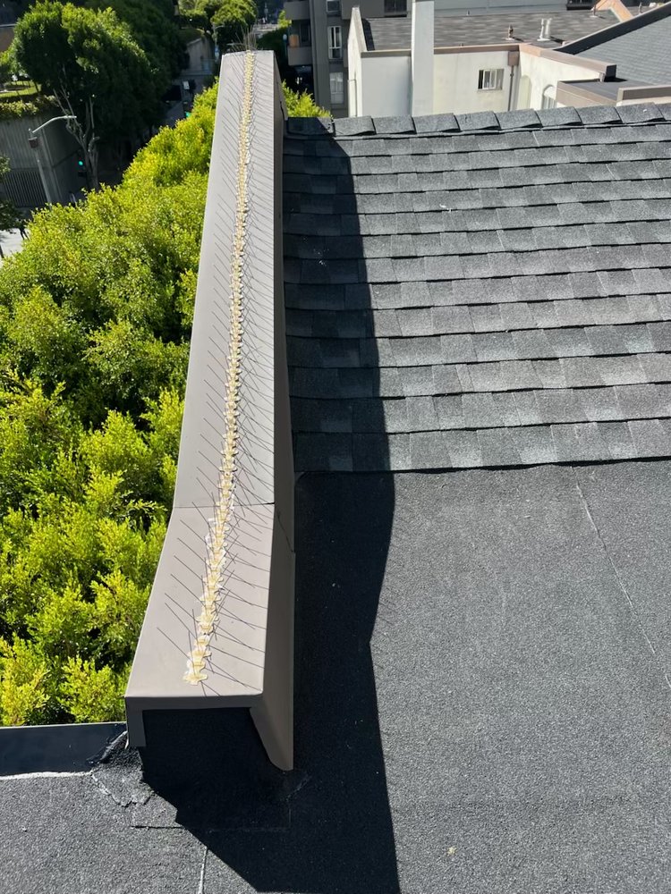 Slide of Rooftop Roofing
