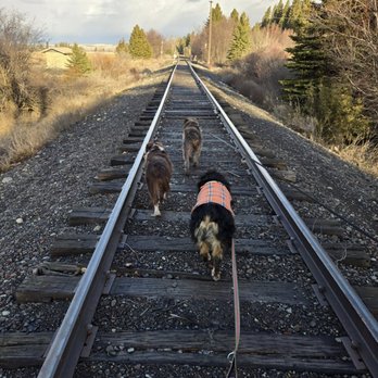Paws and Claws Kennel - Pet Boarding Near Me - Joseph, Oregon