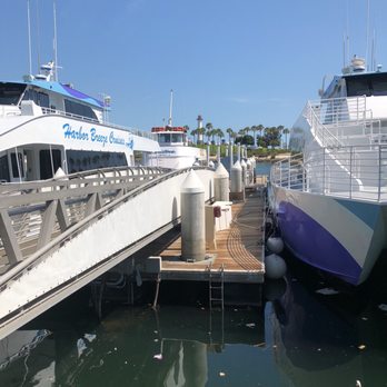 Harbor Breeze - Our whale boat - Boat Charters Near Me - Long Beach, California Harbor Breeze - Our whale boat - Boat Charters Near Me - Long Beach, California