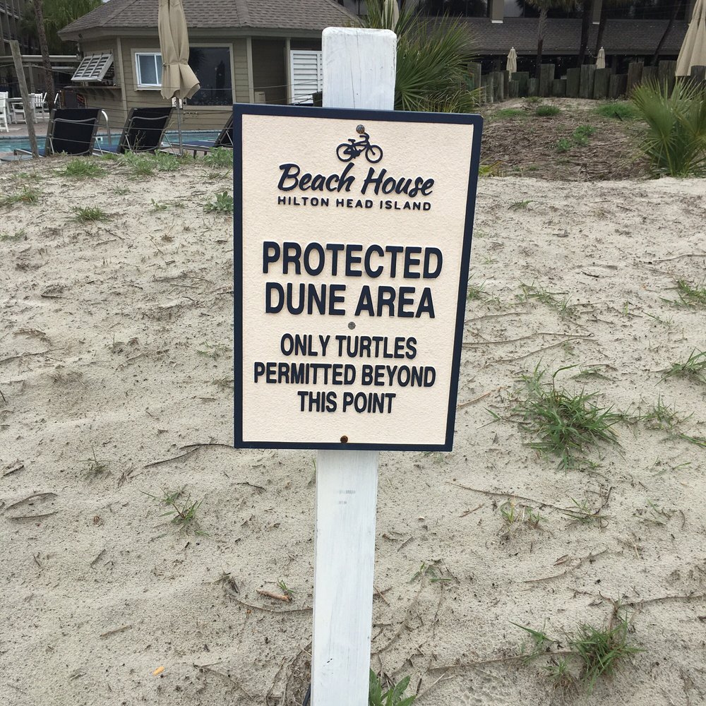 Beach House - Hotels Near Me - Hilton Head, South Carolina Beach House - Hotels Near Me - Hilton Head, South Carolina