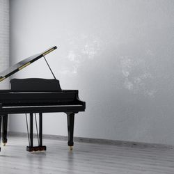Piano Tuning Bargain 42 Years Experience