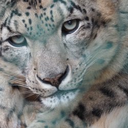 Zoologická a botanická zahrada města Plzně