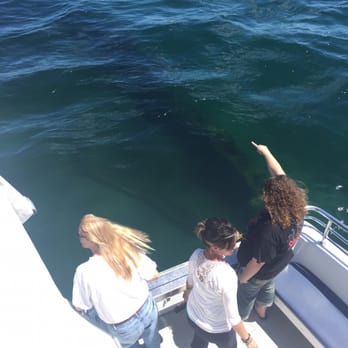 Alpena Shipwreck Tours - Tours Near Me Alpena Shipwreck Tours - Tours Near Me