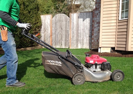 Pacheco Landscape Maintenance