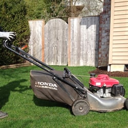 user provided Pacheco Landscape Maintenance photo