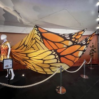 Luzia By Cirque Du Soleil - Performing Arts Near Me - Tysons, Virginia Luzia By Cirque Du Soleil - Performing Arts Near Me - Tysons, Virginia