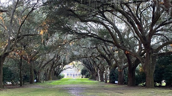 Charles Towne Landing State Historic Site by null