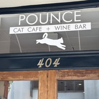 Pounce Cat Cafe - Themed Cafes Near Me - Savannah, Georgia Pounce Cat Cafe - Themed Cafes Near Me - Savannah, Georgia
