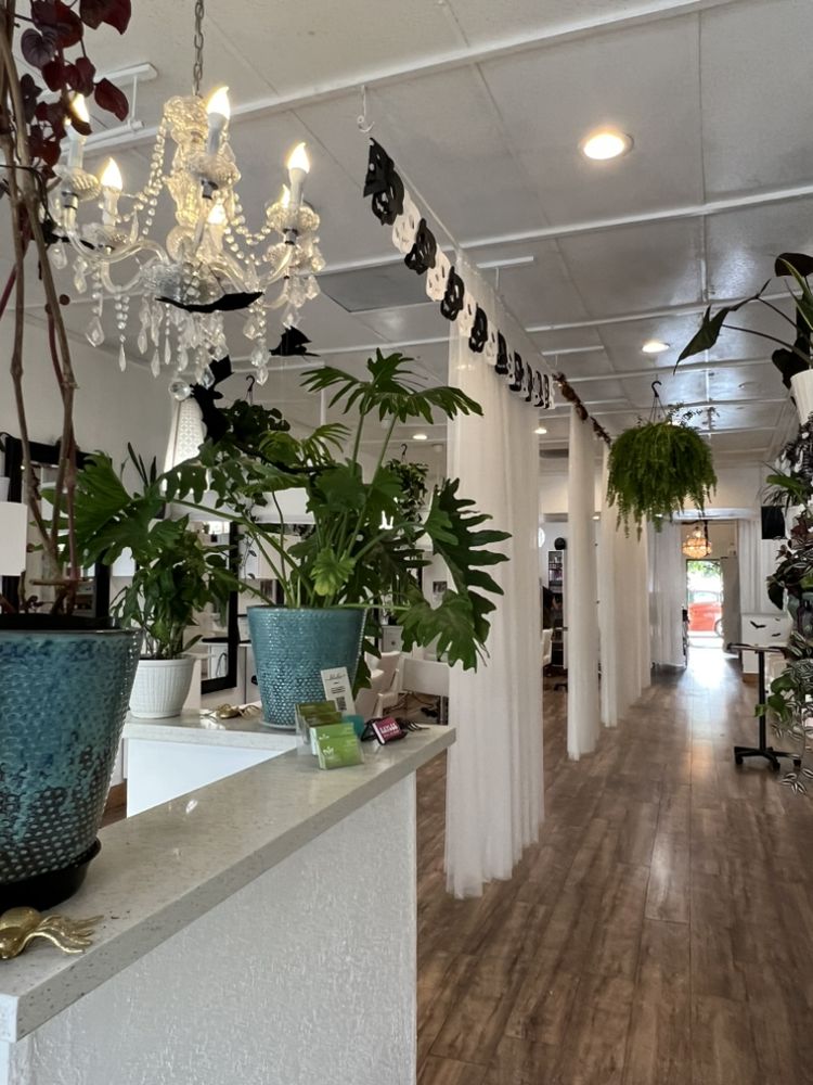 NAILS BY TAMMY TRAN Updated September 2024 22 Photos & 24 Reviews