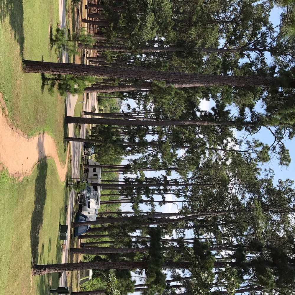 Bastrop State Park - Parks Near Me - Bastrop, Texas Bastrop State Park - Parks Near Me - Bastrop, Texas