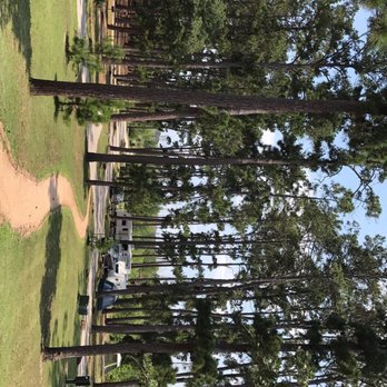 Bastrop State Park - Parks Near Me - Bastrop, Texas