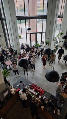 Gotan Hoboken by null