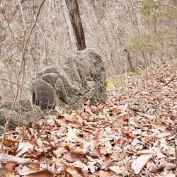Clifty Falls State Park - When in doubt, take a photo of a rock